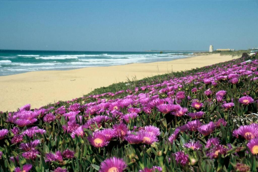Albayalde Cielo Y Mar Vejer de la Frontera Exterior foto